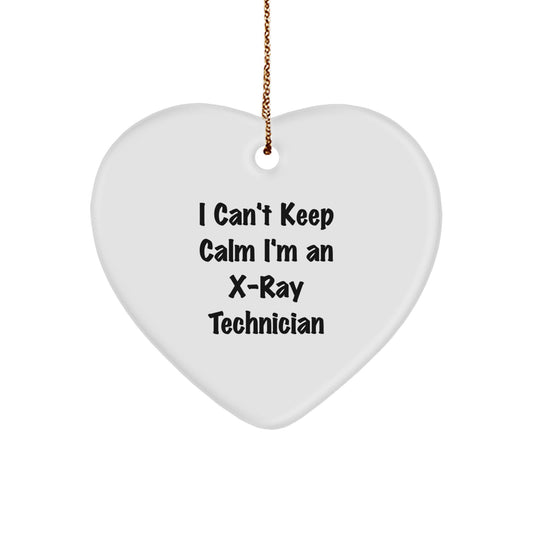 Funny X-Ray Technician Gifts from Family, Unique Christmas Unique Gifts for X-Ray Technician Friends - Image 1