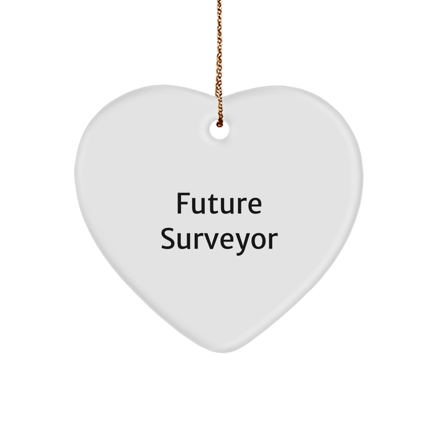 Funny Quote Future Surveyor Gifts from Mom Christmas Unique Gifts for Future Surveyor Heart Ornament - Image 1