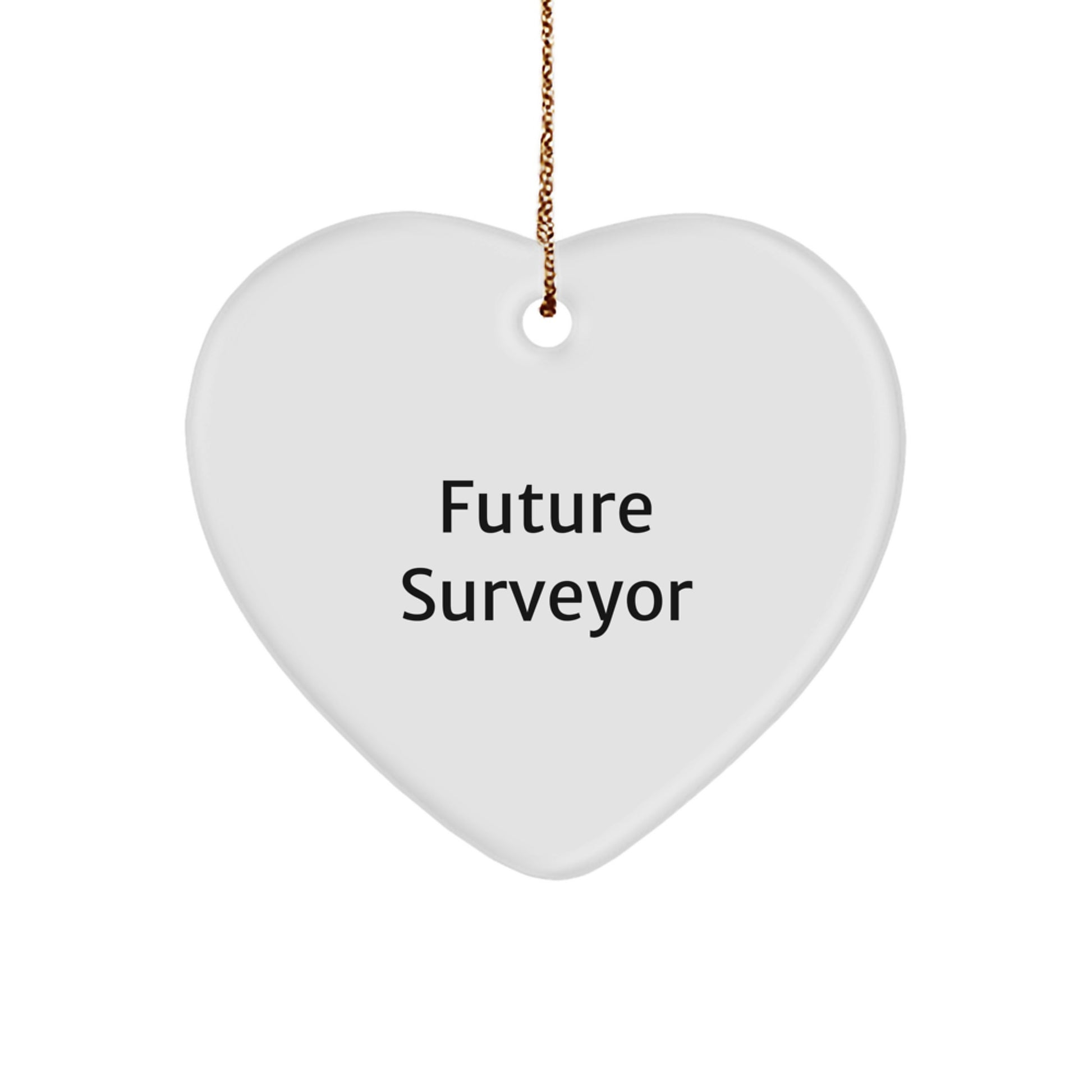 Funny Quote Future Surveyor Gifts from Mom Christmas Unique Gifts for Future Surveyor Heart Ornament - Image 1