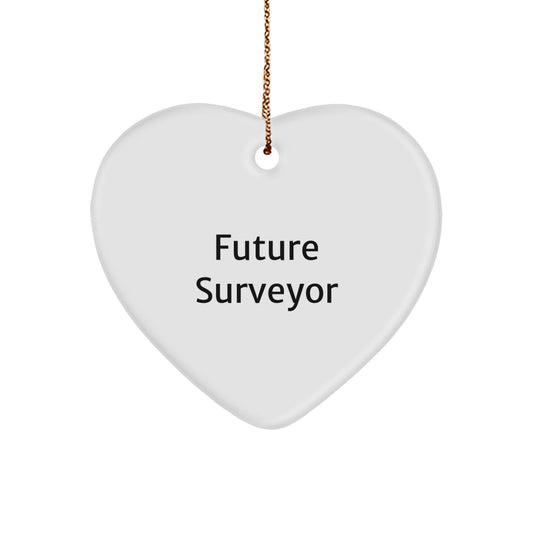 Funny Quote Future Surveyor Gifts from Mom Christmas Unique Gifts for Future Surveyor Heart Ornament - Image 1