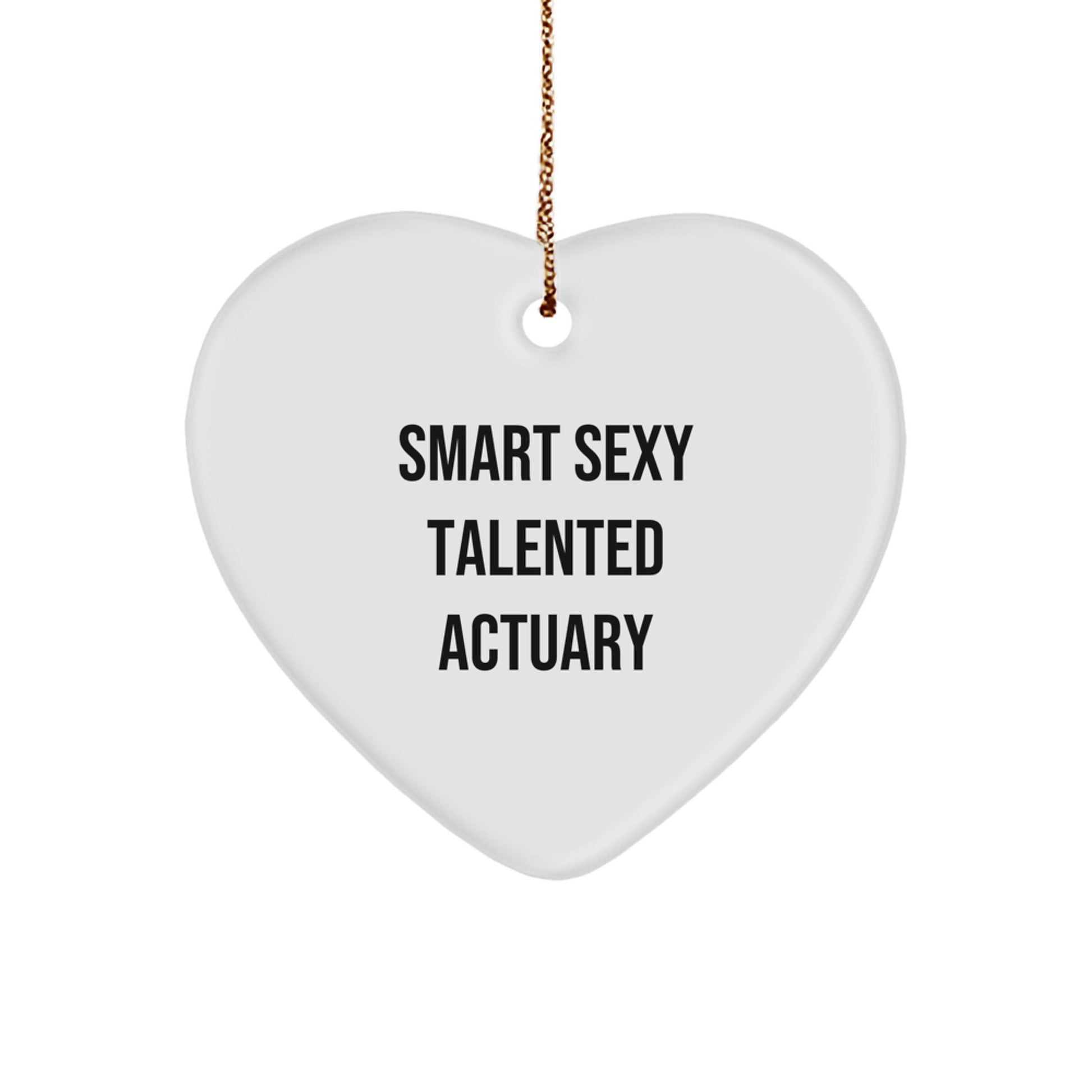 Gifts from Friends for Smart Sexy Talented Actuary - Cute Heart Ornament for Actuary Christmas Unique Gifts - Image 1