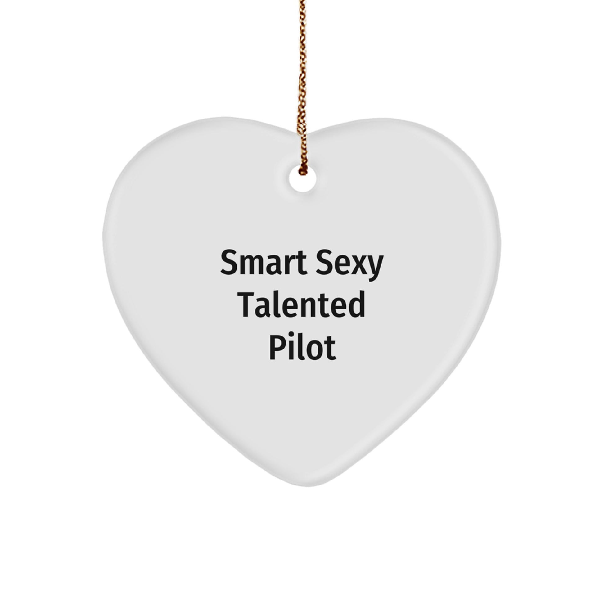 Pilot Gifts from Friends - Smart Sexy Talented Pilot Inspired Heart Ornament for Christmas Unique Gifts - Image 1