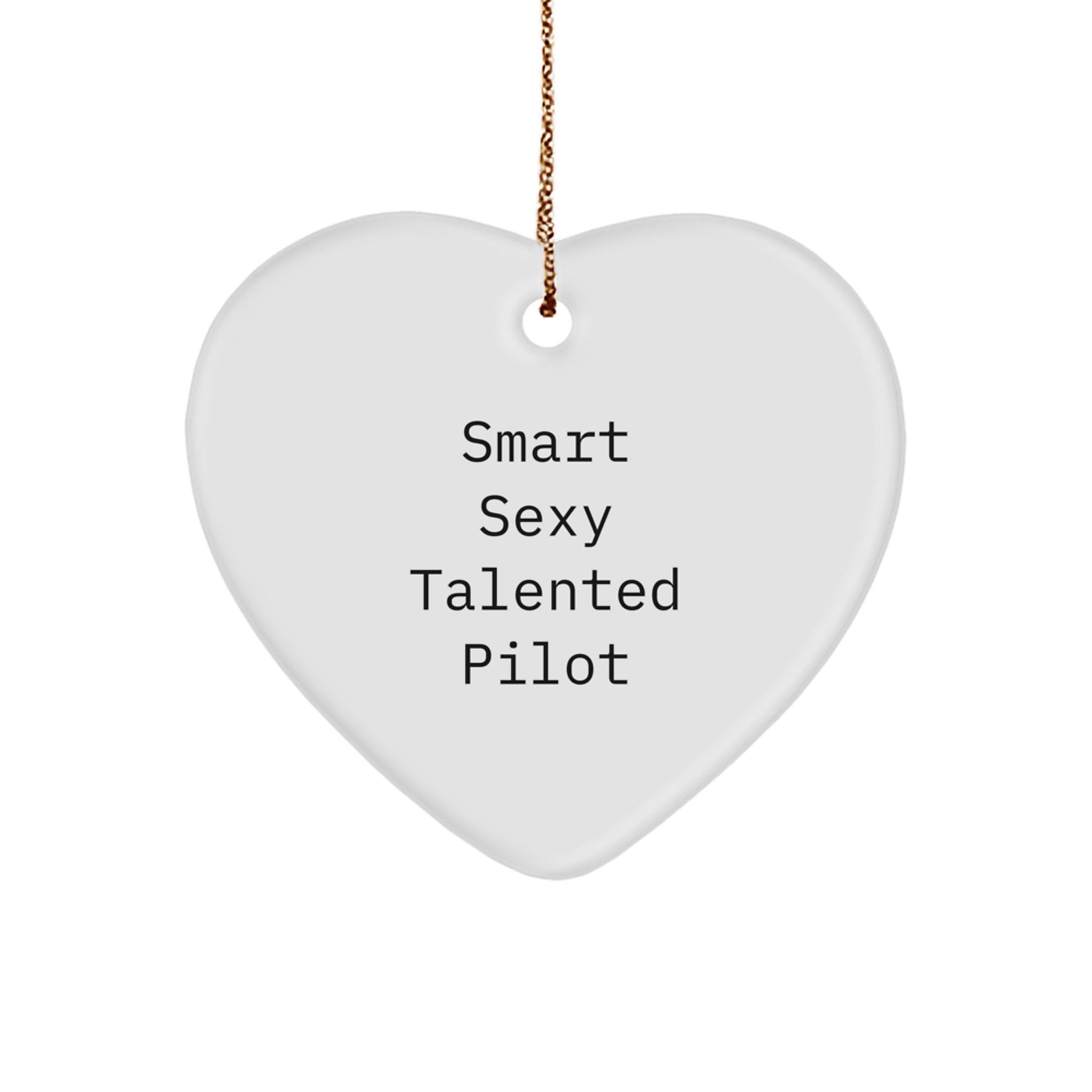 Smart Sexy Talented Pilot Inspired Heart Ornament for Pilot Friend or Family Christmas Unique Gifts from Men Women or Coworkers - Image 1