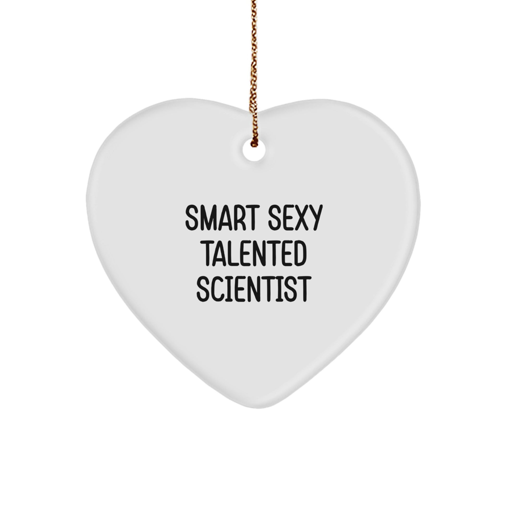 Funny Scientist Gifts - Smart Sexy Talented Scientist Heart Ornament, Christmas Unique Gifts from Friends, for Scientist Men, Women, Family, Coworkers - Image 1