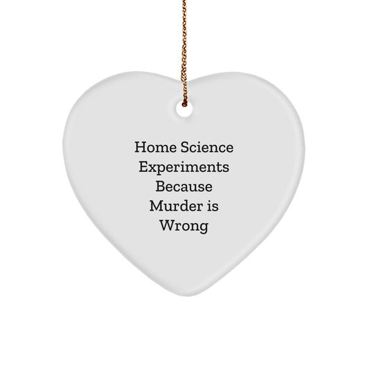 Funny Home Science Experiments Gifts for Her, Christmas Unique Heart Ornament from Sister, Home Science Experiments Because 'Murder Is Wrong' Quote, Heart Shaped Decorations - Image 1