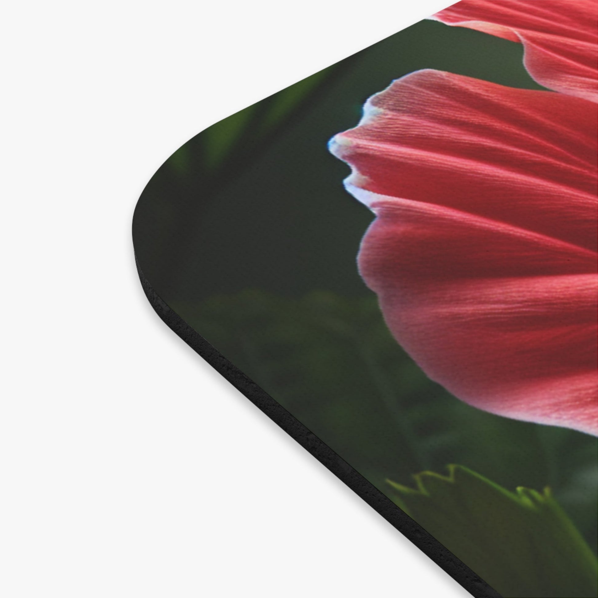 Hummingbird Mouse Pad, Floral Desk Decor, Bird Lover Gift, Rectangle Office Accessory, Nature Print Mat - Victory Thru Vision
