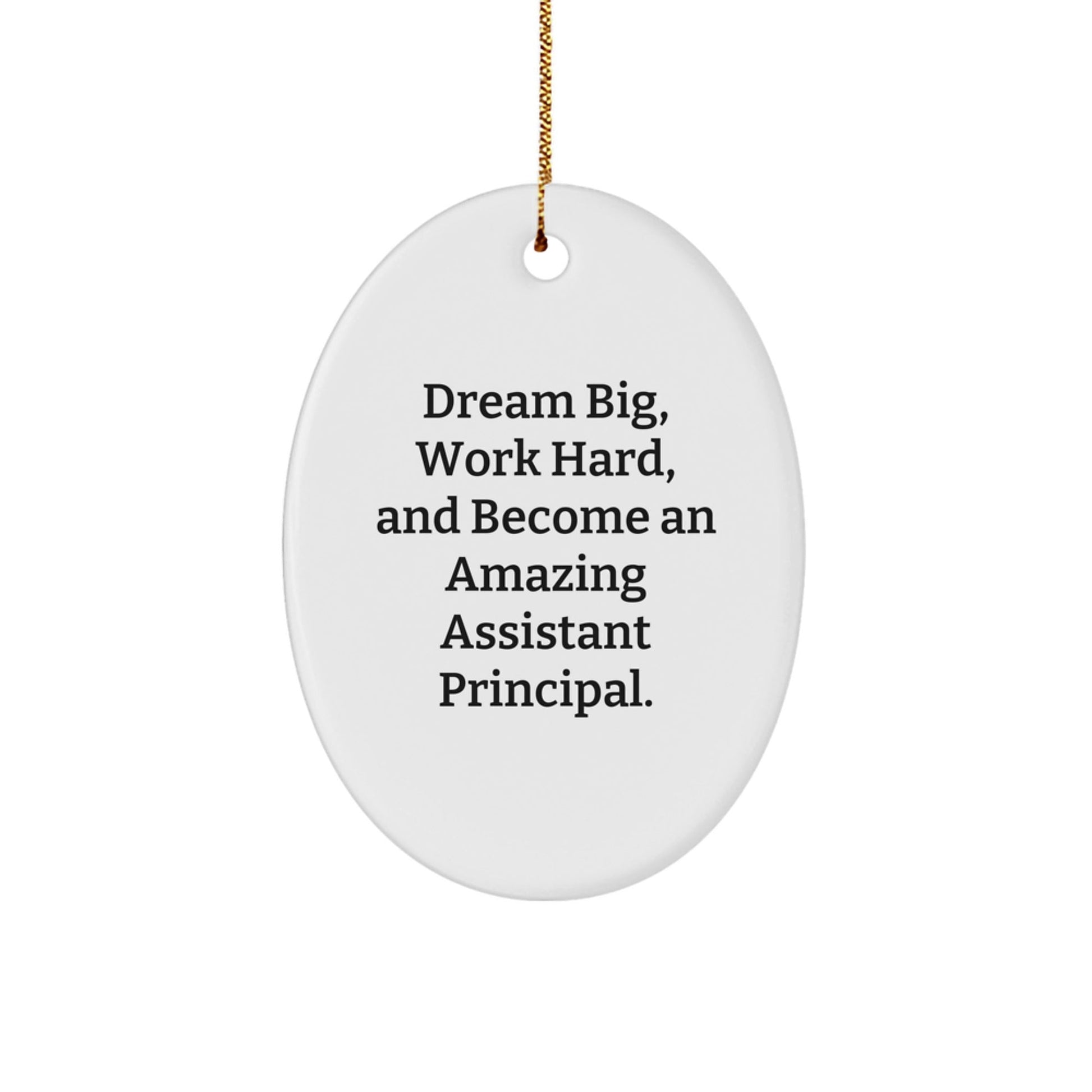 Inspirational Assistant Principal Gifts for Men - Oval Ornament with 'Dream Big, Work Hard, And Become An Amazing Assistant Principal.' Quote - Gifts from Friends for Christmas - Victory Thru Vision