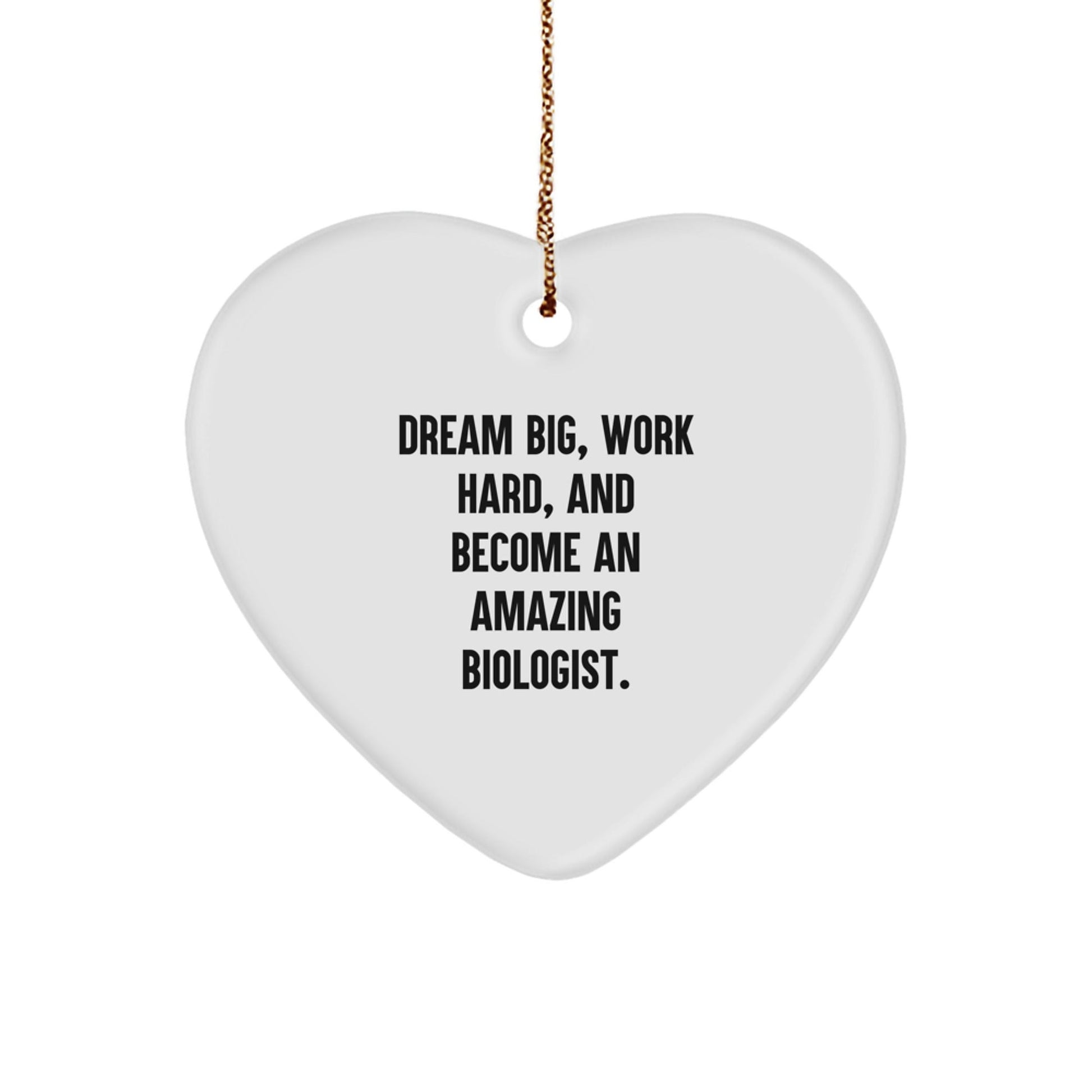 Inspirational Biologist Gifts for Christmas - 'Dream Big, Work Hard, And Become An Amazing Biologist.' Heart Ornament - Victory Thru Vision