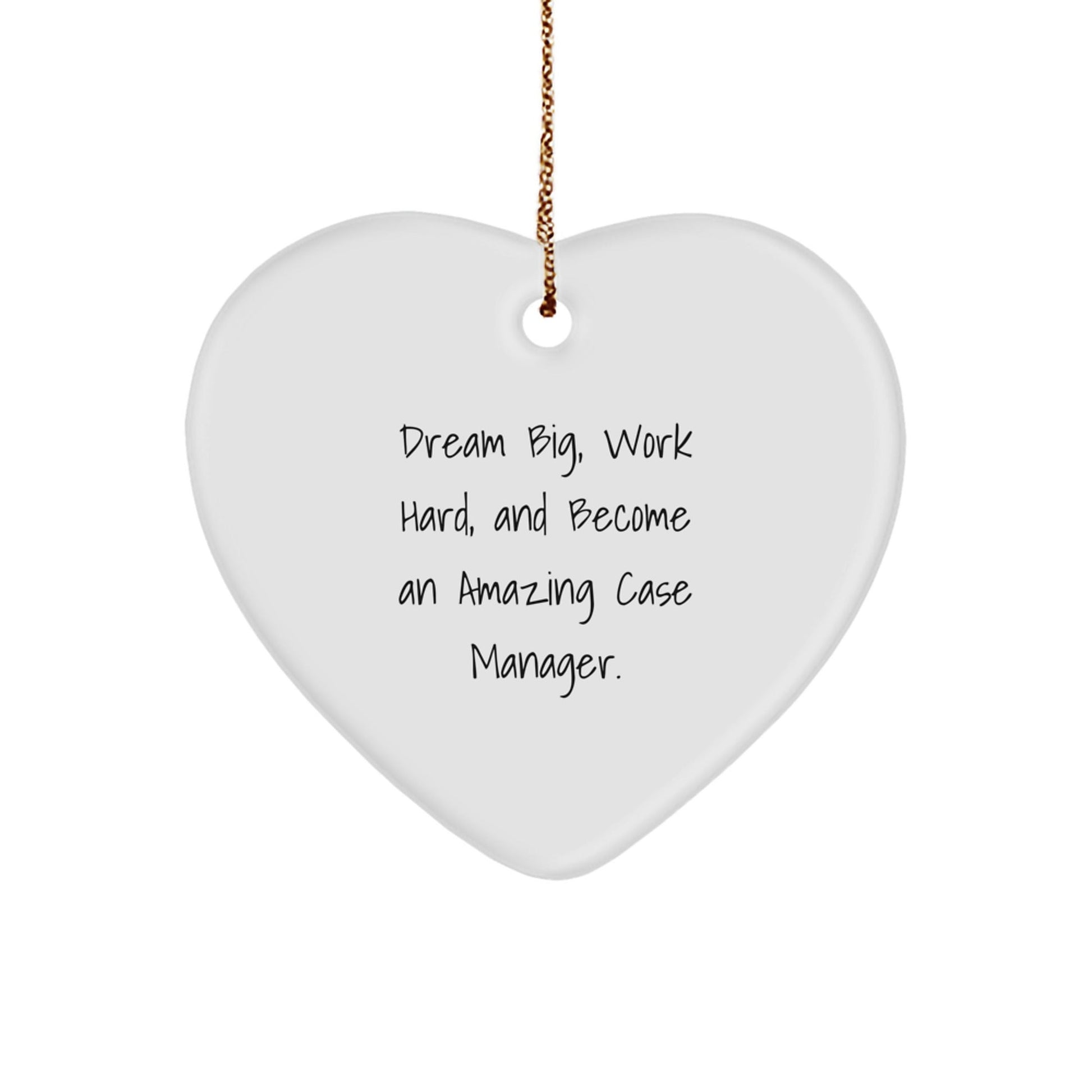 Inspirational Case Manager Gifts, Dream Big and Work Hard - Heart Ornament for Christmas - Victory Thru Vision