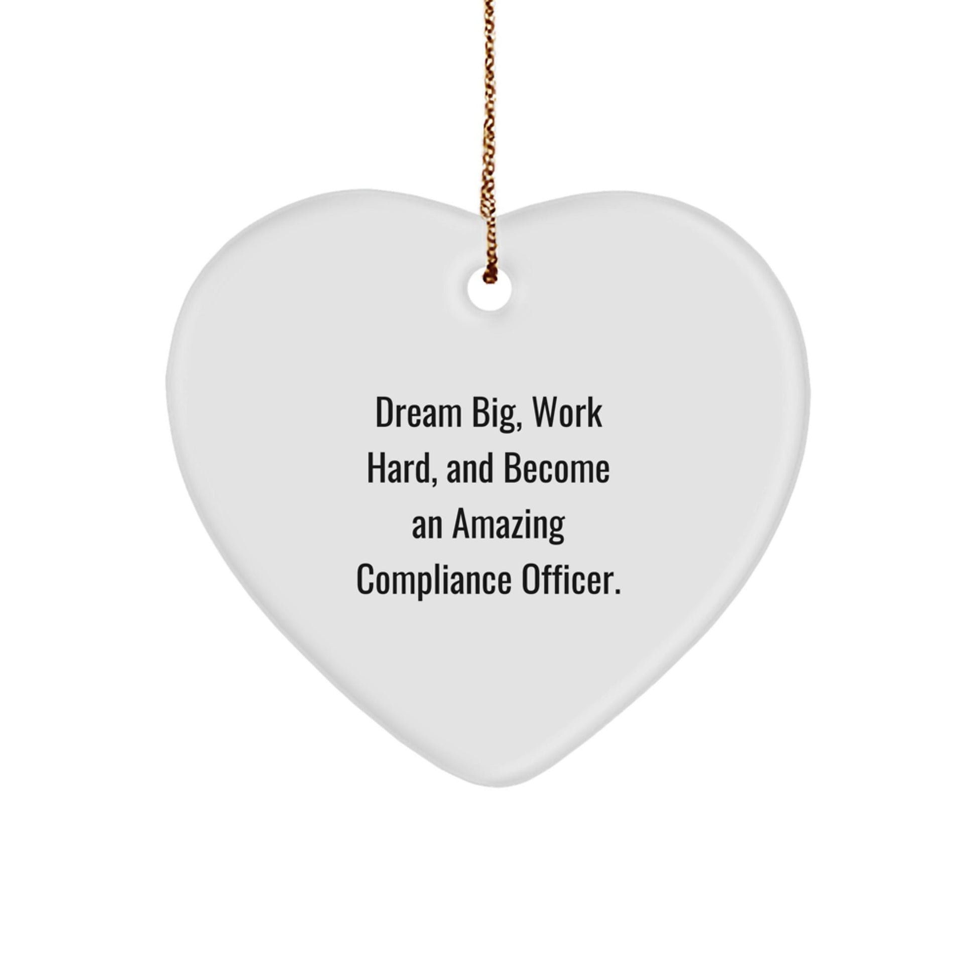 Inspirational Compliance Officer Gifts, Funny Heart Ornament 'Dream Big, Work Hard' for Christmas, Gifts from Friends to Compliance Officer - Victory Thru Vision