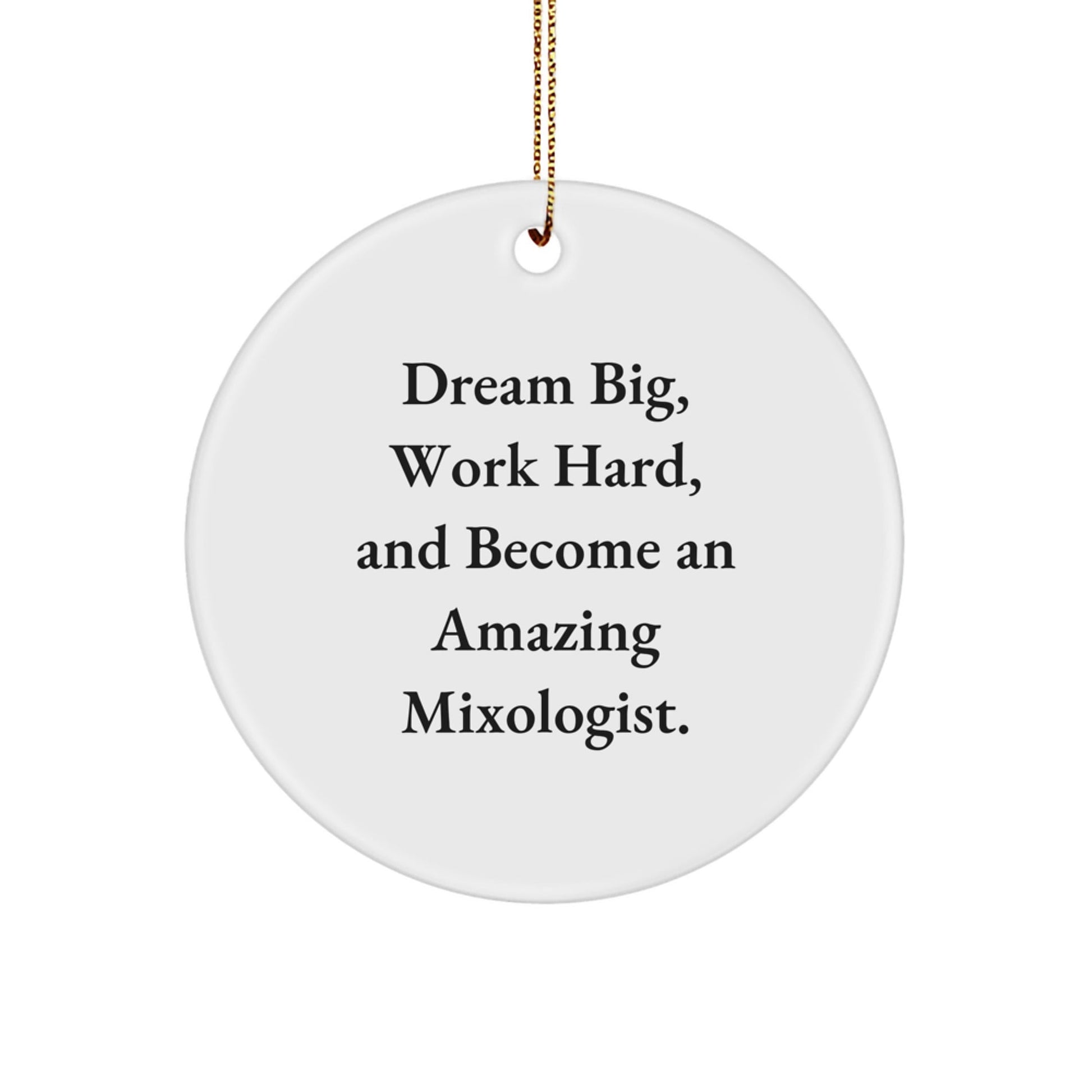 Inspirational Mixologist Circle Ornament Gifts from Friends, Family, or Coworkers - 'Dream Big, Work Hard, And Become An Amazing Mixologist.' - Christmas Unique Ornaments - Victory Thru Vision