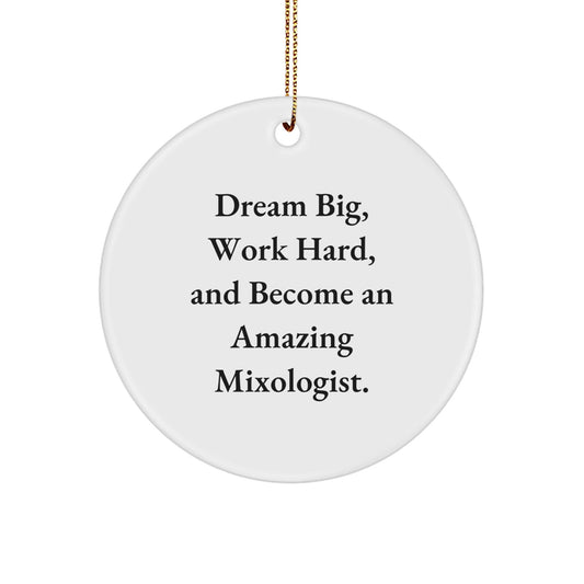 Inspirational Mixologist Circle Ornament Gifts from Friends, Family, or Coworkers - 'Dream Big, Work Hard, And Become An Amazing Mixologist.' - Christmas Unique Ornaments - Victory Thru Vision