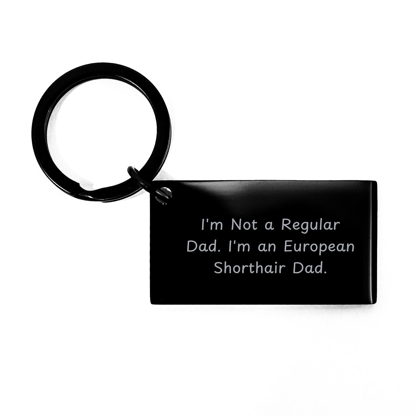 European Shorthair Cat Keychain Gifts from Dad, Funny Quote, Christmas Unique for Men, Women, Friends - Image 1