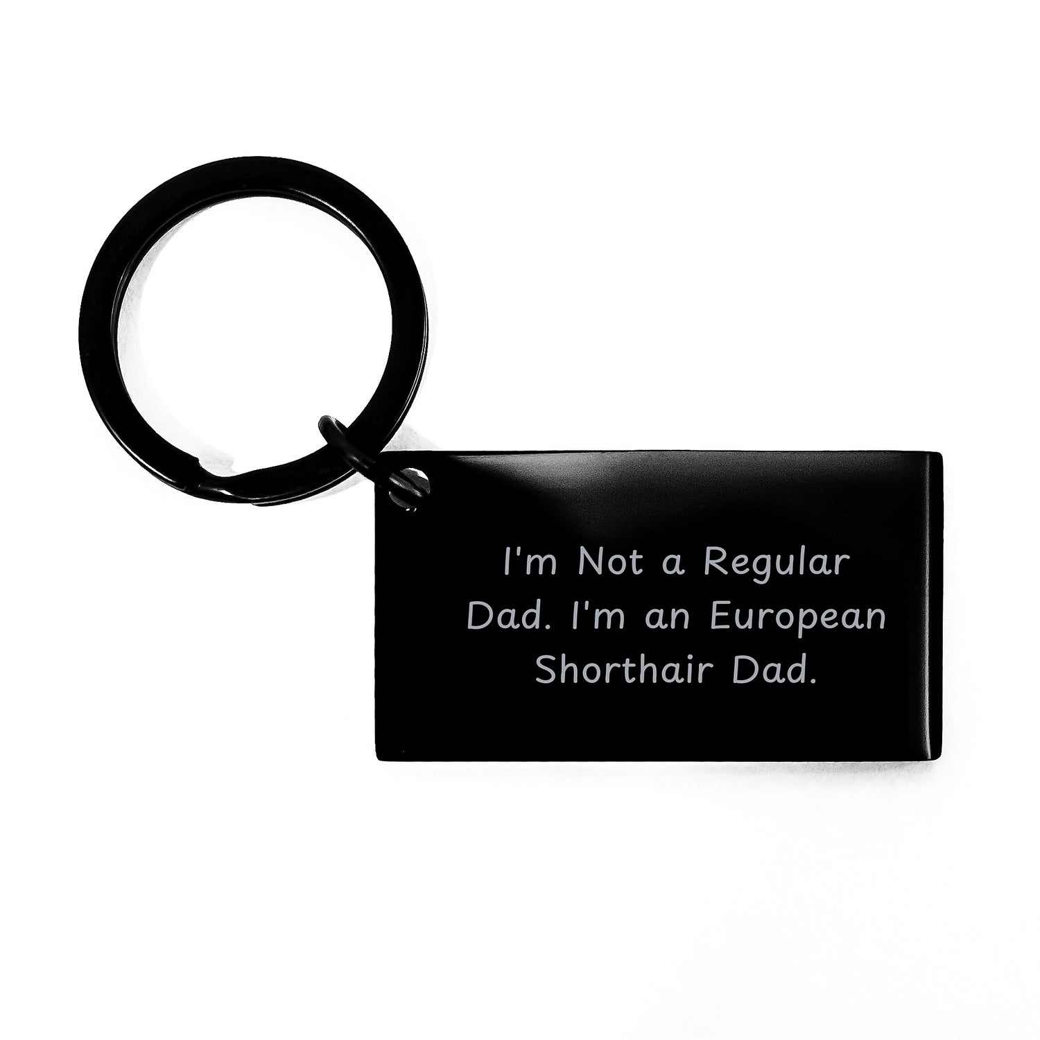 European Shorthair Cat Keychain Gifts from Dad, Funny Quote, Christmas Unique for Men, Women, Friends - Image 1