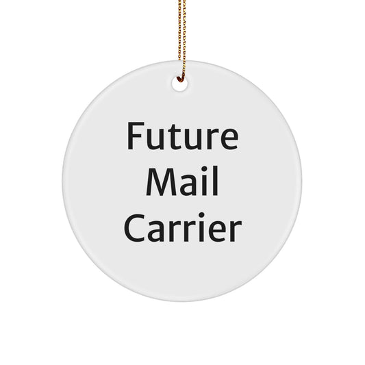 Mail Carrier Gifts from Friends for Future Mail Carrier Circle Ornament, Funny Quote, Christmas Unique Gifts - Victory Thru Vision