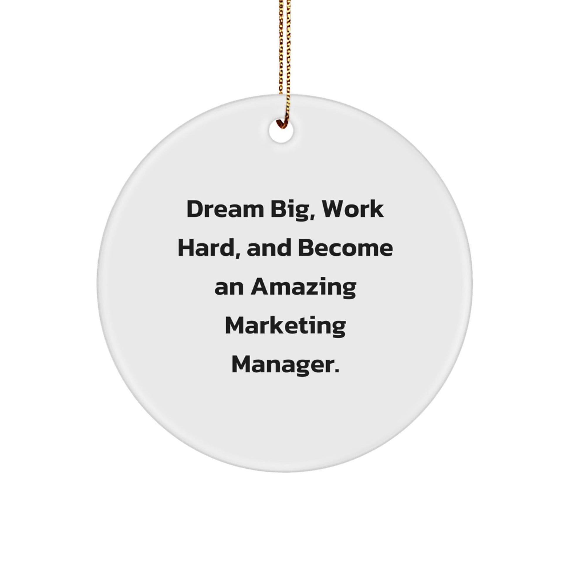 Marketing Manager Gifts from Friends, Amazing Christmas Circle Ornament, Dream Big, Work Hard, and Become an Amazing Marketing Manager. - Victory Thru Vision