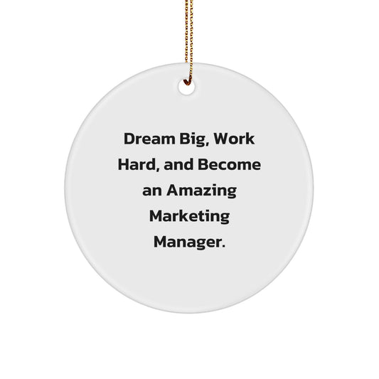 Marketing Manager Gifts from Friends, Amazing Christmas Circle Ornament, Dream Big, Work Hard, and Become an Amazing Marketing Manager. - Victory Thru Vision