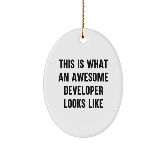Funny Developer Gifts, Oval Ornament, 'This Is What An Awesome Developer Looks Like', Gifts from Family to Developer at Christmas, Christmas Unique Gifts for Developer - Image 1