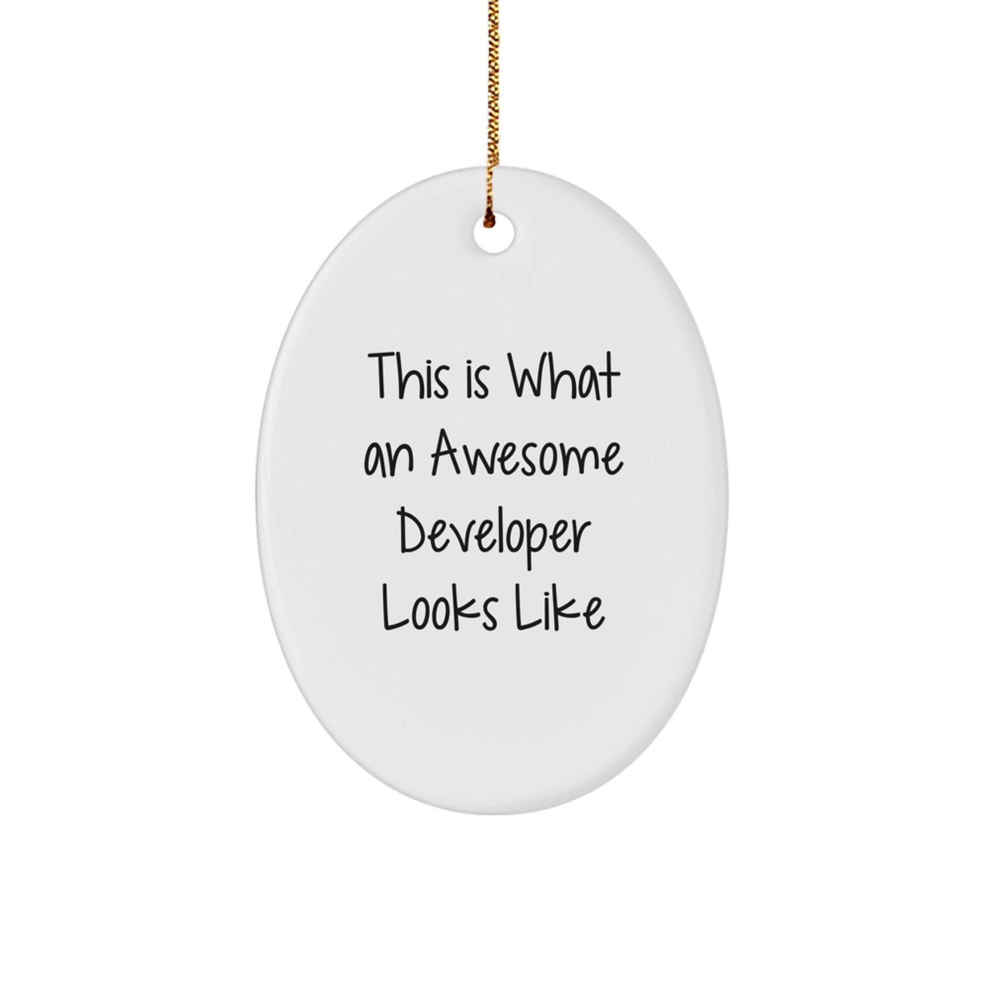 Funny Developer Quote Oval Ornament, Gifts for Developers, Christmas Unique Gifts from Friends or Family, Inspirational Developer Gifts, Oval Shaped Ornament - Image 1