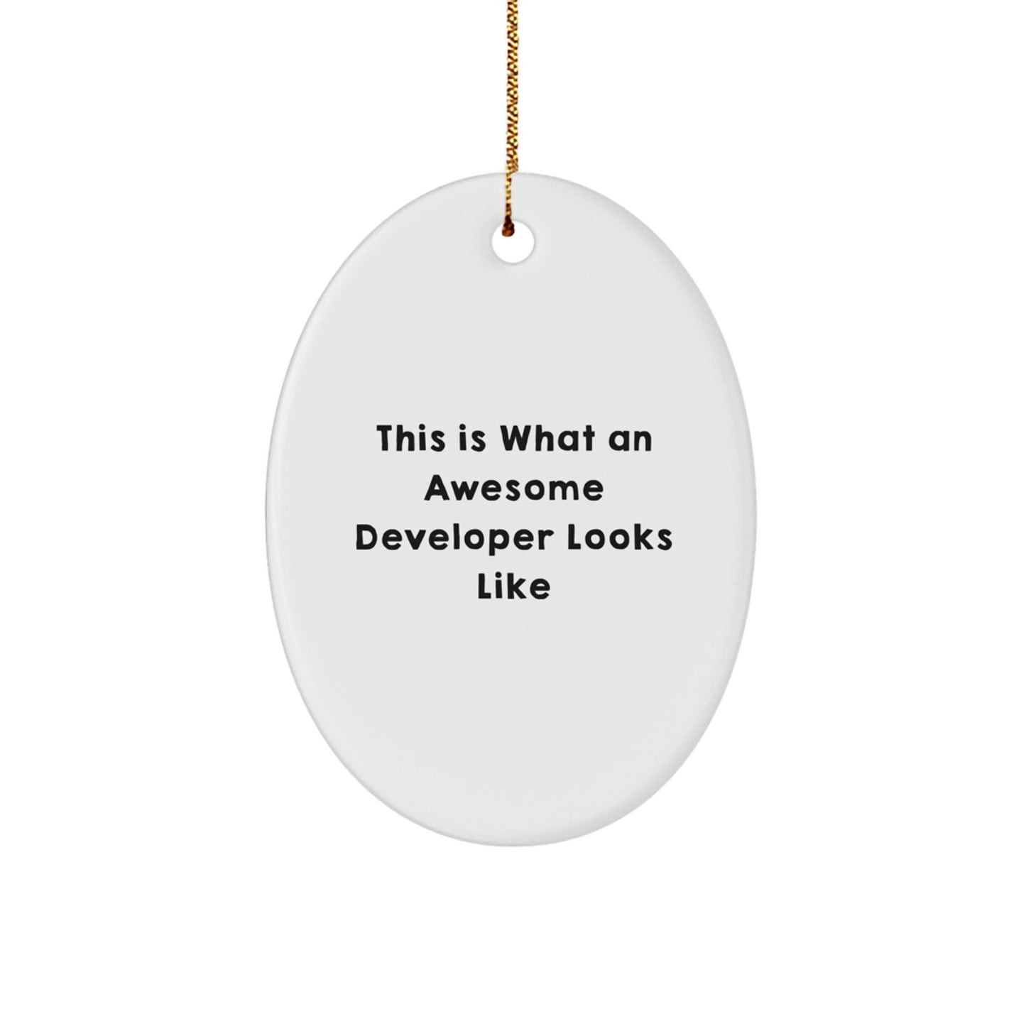 Funny Developer Gift Oval Ornaments for Christmas Unique Gifts from Men to Developer Friends - Image 1