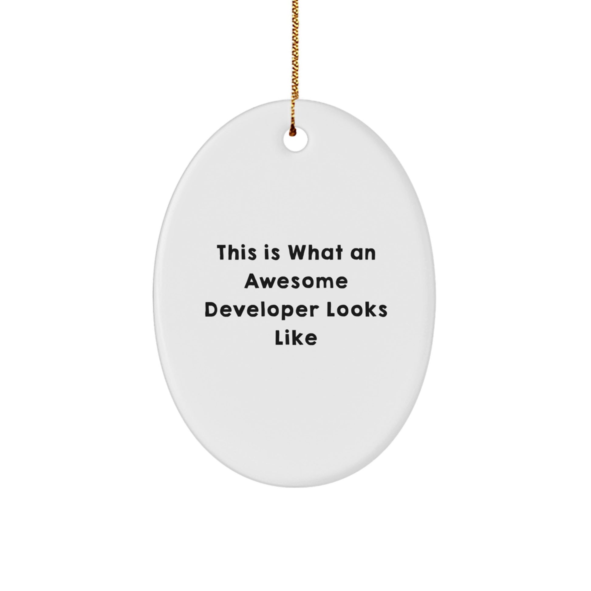 Funny Developer Gift Oval Ornaments for Christmas Unique Gifts from Men to Developer Friends - Image 1