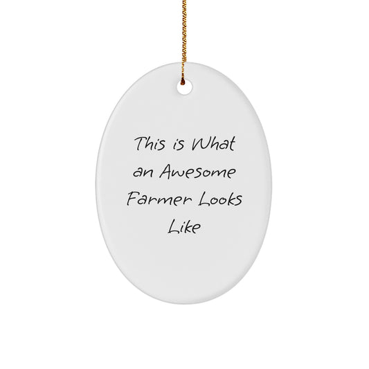 Funny Farmer Gifts for Men - Oval Ornament This Is 'What An Awesome Farmer Looks Like' - Christmas Unique Gifts from Family to Farmer - Image 1