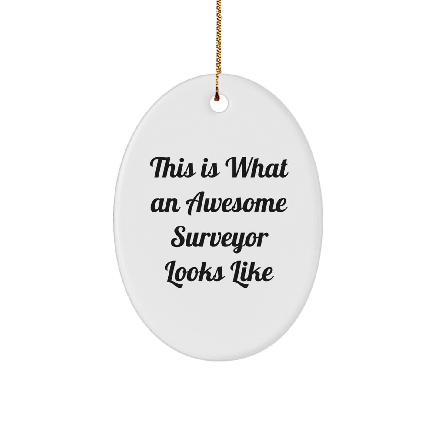 Funny Surveyor Gifts from Men to Surveyor Friends and Family - Oval Ornament This Is 'What An Awesome Surveyor Looks Like' - Image 1