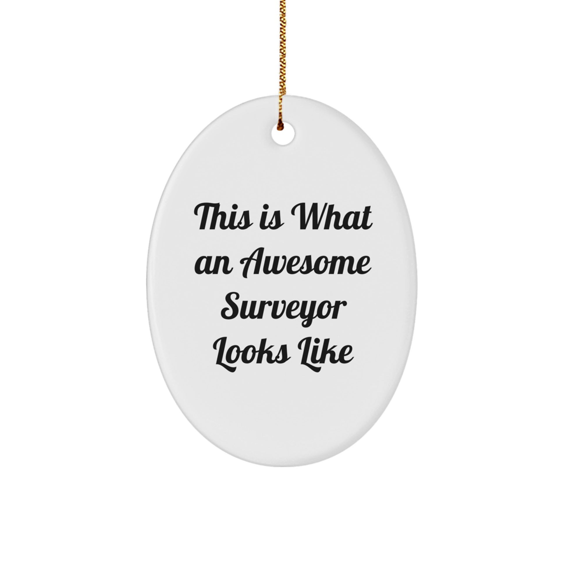 Funny Surveyor Gifts from Men to Surveyor Friends and Family - Oval Ornament This Is 'What An Awesome Surveyor Looks Like' - Image 1