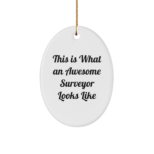 Funny Surveyor Gifts from Men to Surveyor Friends and Family - Oval Ornament This Is 'What An Awesome Surveyor Looks Like' - Image 1