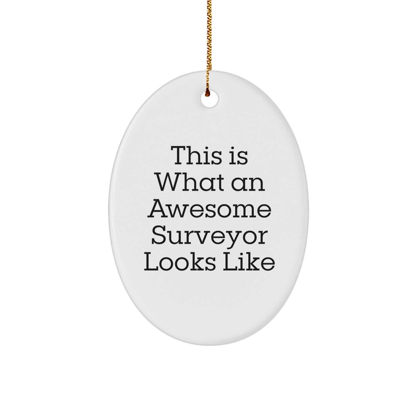 Funny Gifts for Surveyors, Oval Ornament, Christmas Unique Gifts from Family - Image 1