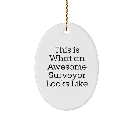 Funny Gifts for Surveyors, Oval Ornament, Christmas Unique Gifts from Family - Image 1