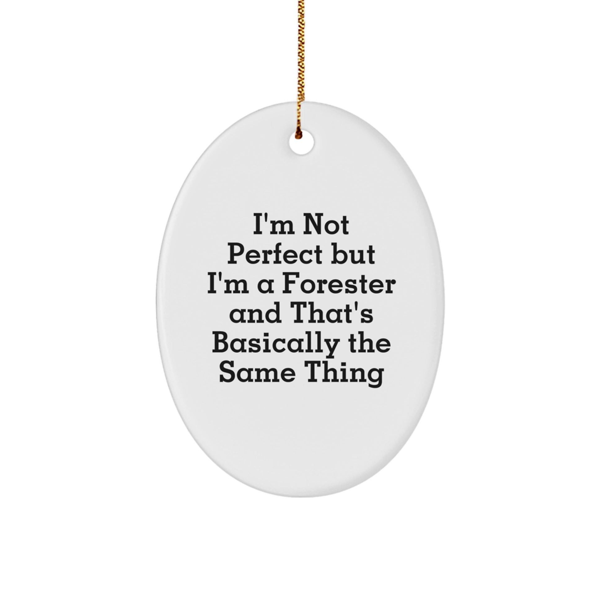 Unique Forester Gifts from Men to Forester Friends, Christmas Unique Gifts, Oval Ornament Funny Quote - Image 1