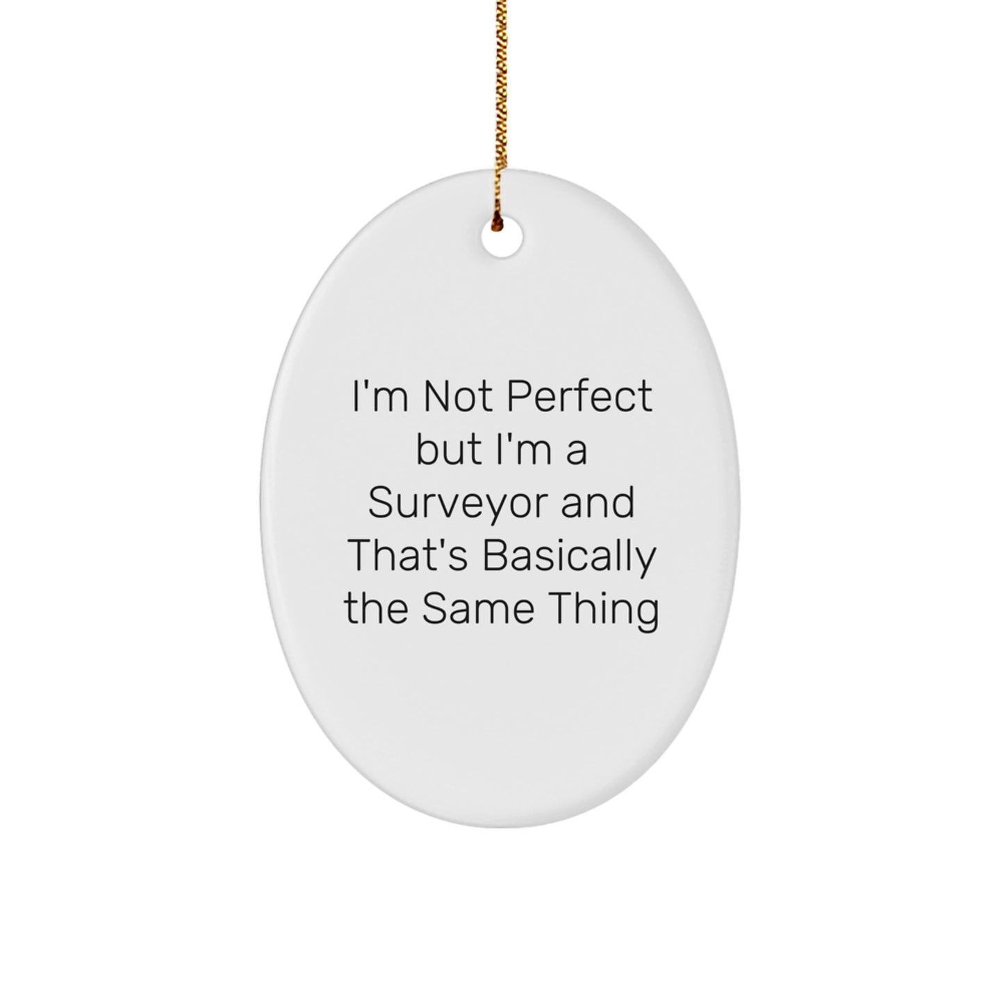 Funny Surveyor Gifts from Friends, Unique Oval Ornament for Surveyor Men, Christmas Unique Gifts for Surveyor - Image 1