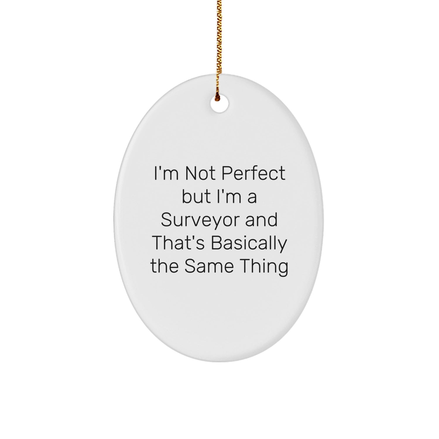 Funny Surveyor Gifts from Friends, Unique Oval Ornament for Surveyor Men, Christmas Unique Gifts for Surveyor - Image 1