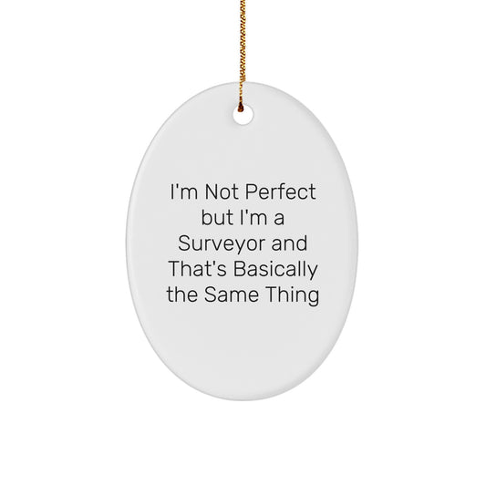 Funny Surveyor Gifts from Friends, Unique Oval Ornament for Surveyor Men, Christmas Unique Gifts for Surveyor - Image 1