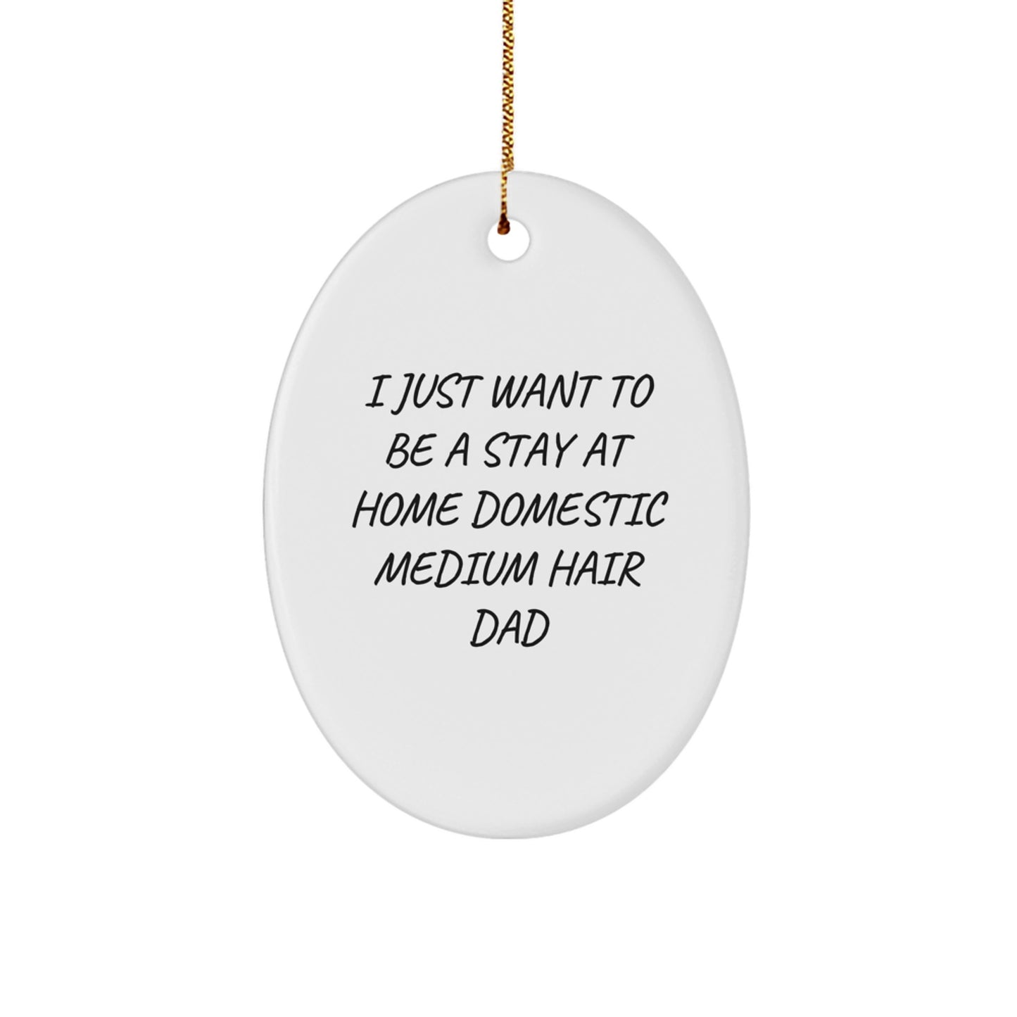 Funny Oval Ornament Gifts from Men to Domestic Medium Hair Dad - I Just Want To Be A Stay At Home Domestic Medium Hair Dad Christmas Unique Gifts - Image 1