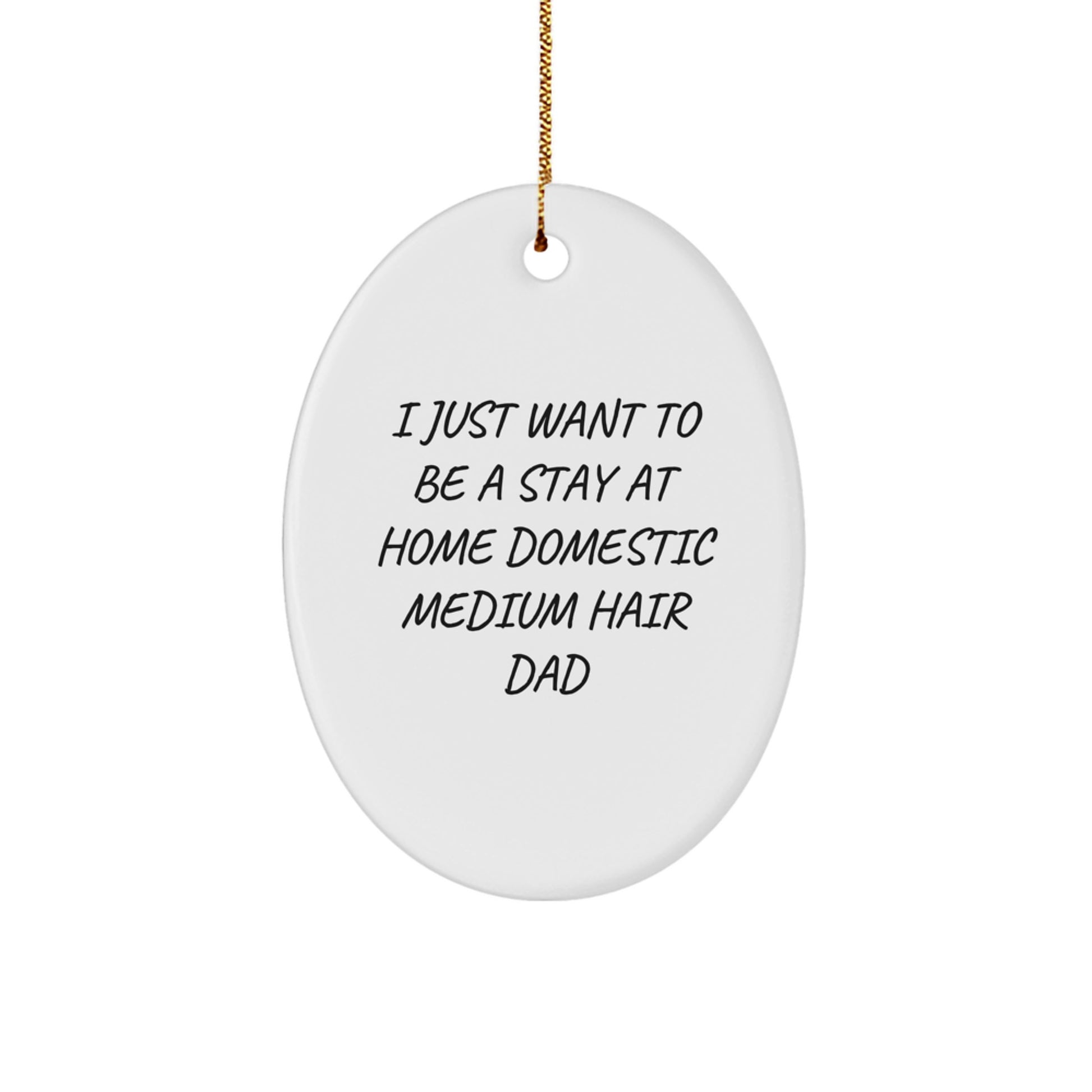 Funny Oval Ornament Gifts from Men to Domestic Medium Hair Dad - I Just Want To Be A Stay At Home Domestic Medium Hair Dad Christmas Unique Gifts - Image 1