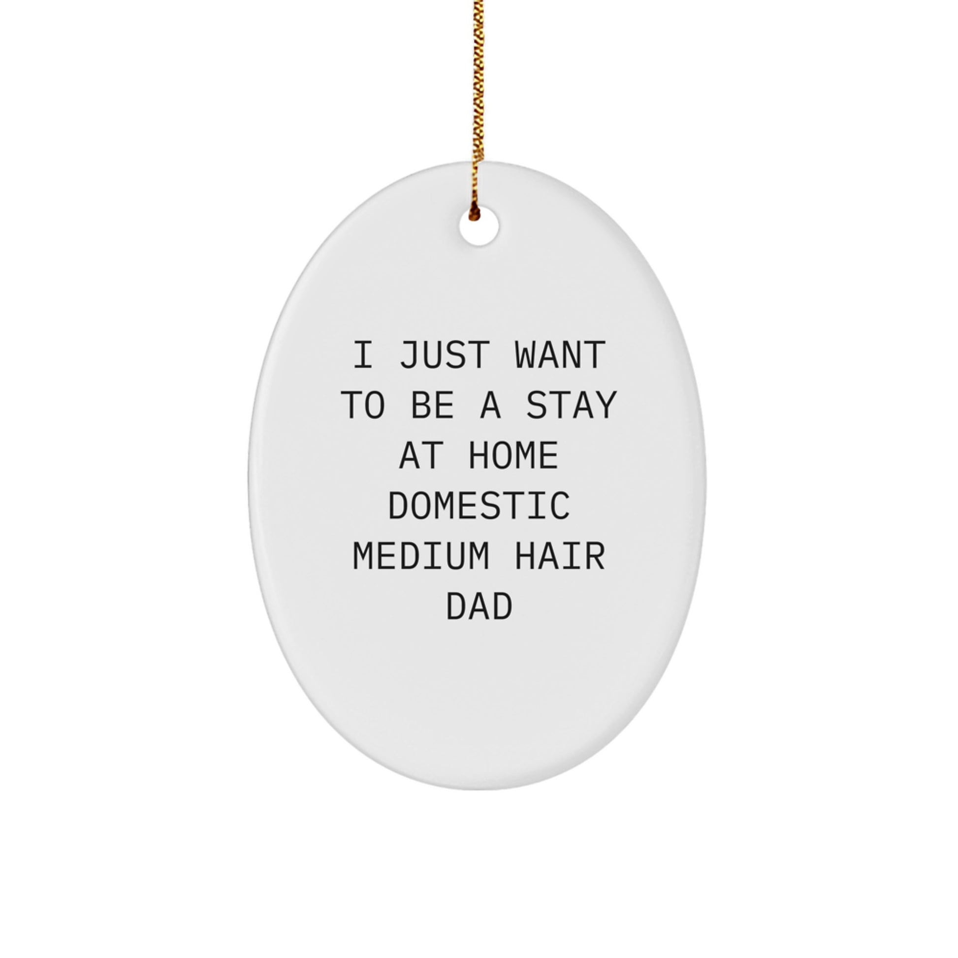 Funny Domestic Medium Hair Gifts from Men for Stay At Home Dads Oval Ornament, Unique Christmas Unique Gifts for Him - Image 1