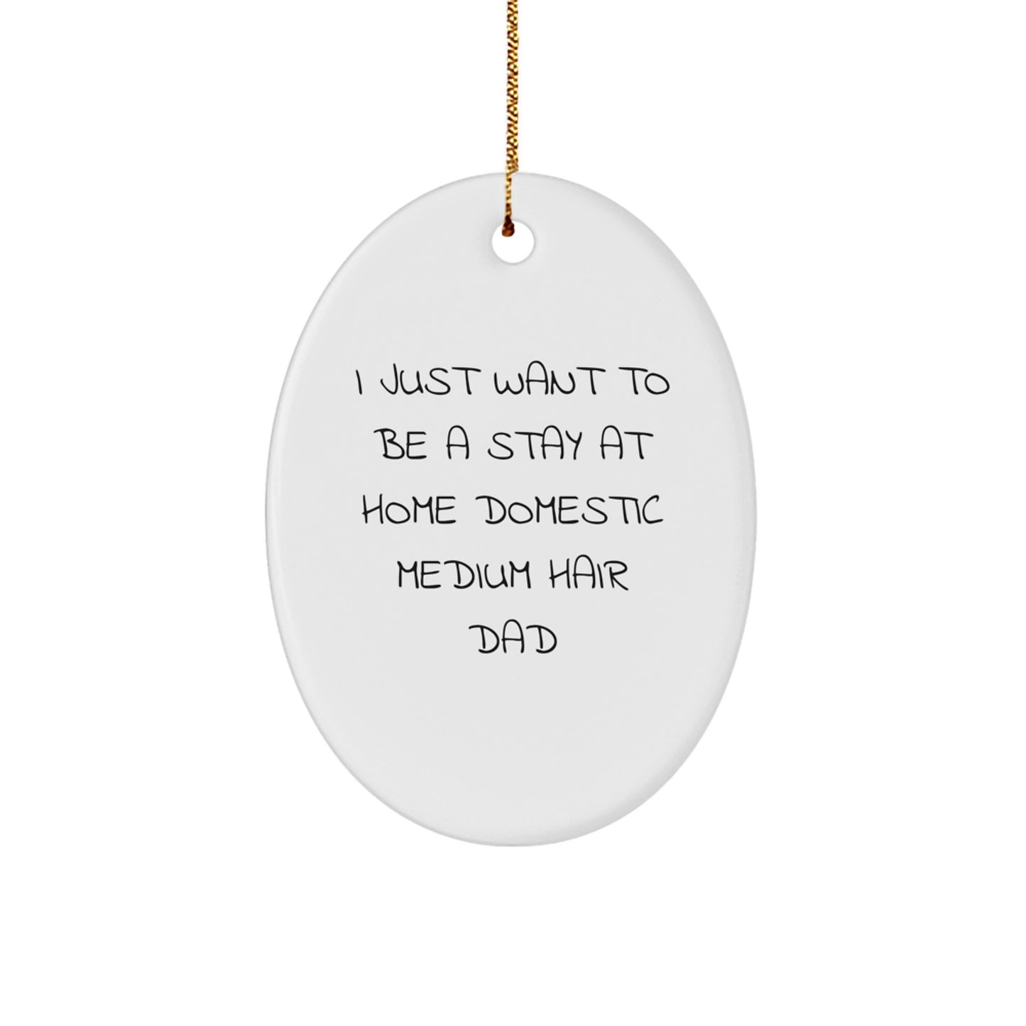 Funny Domestic Medium Hair Dad Oval Ornament, Christmas Unique Gifts for Domestic Medium Hair Men, Oval Decorations - Image 1
