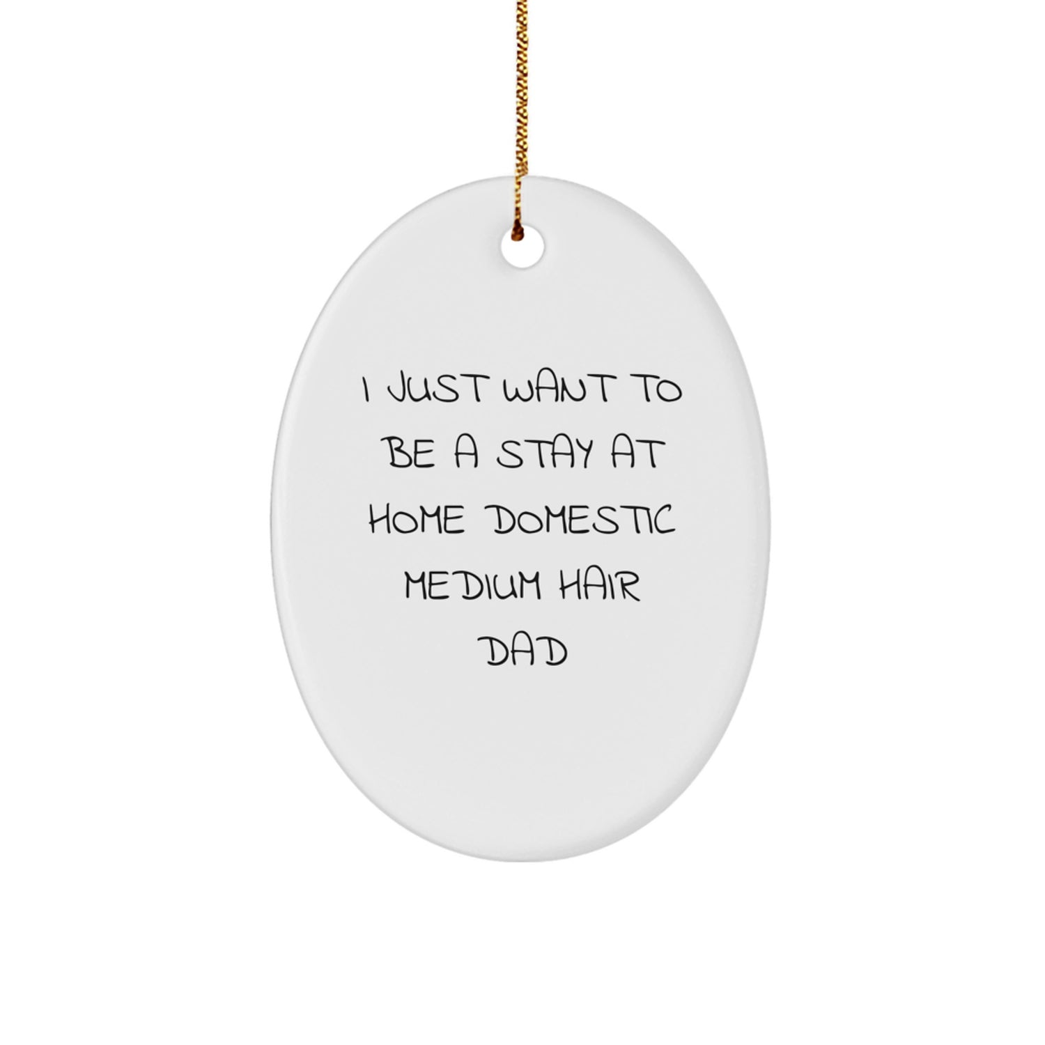 Funny Domestic Medium Hair Dad Oval Ornament, Christmas Unique Gifts for Domestic Medium Hair Men, Oval Decorations - Image 1