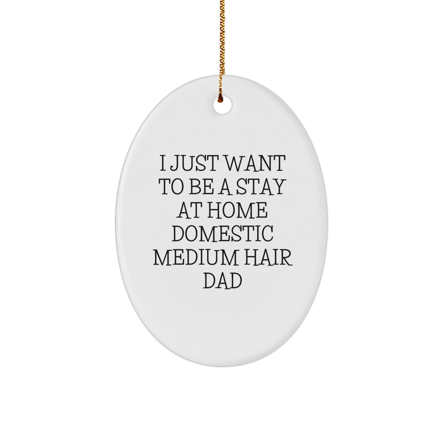 Funny Domestic Medium Hair Dad Oval Ornament Gifts from Friends or Family for Christmas - Image 1