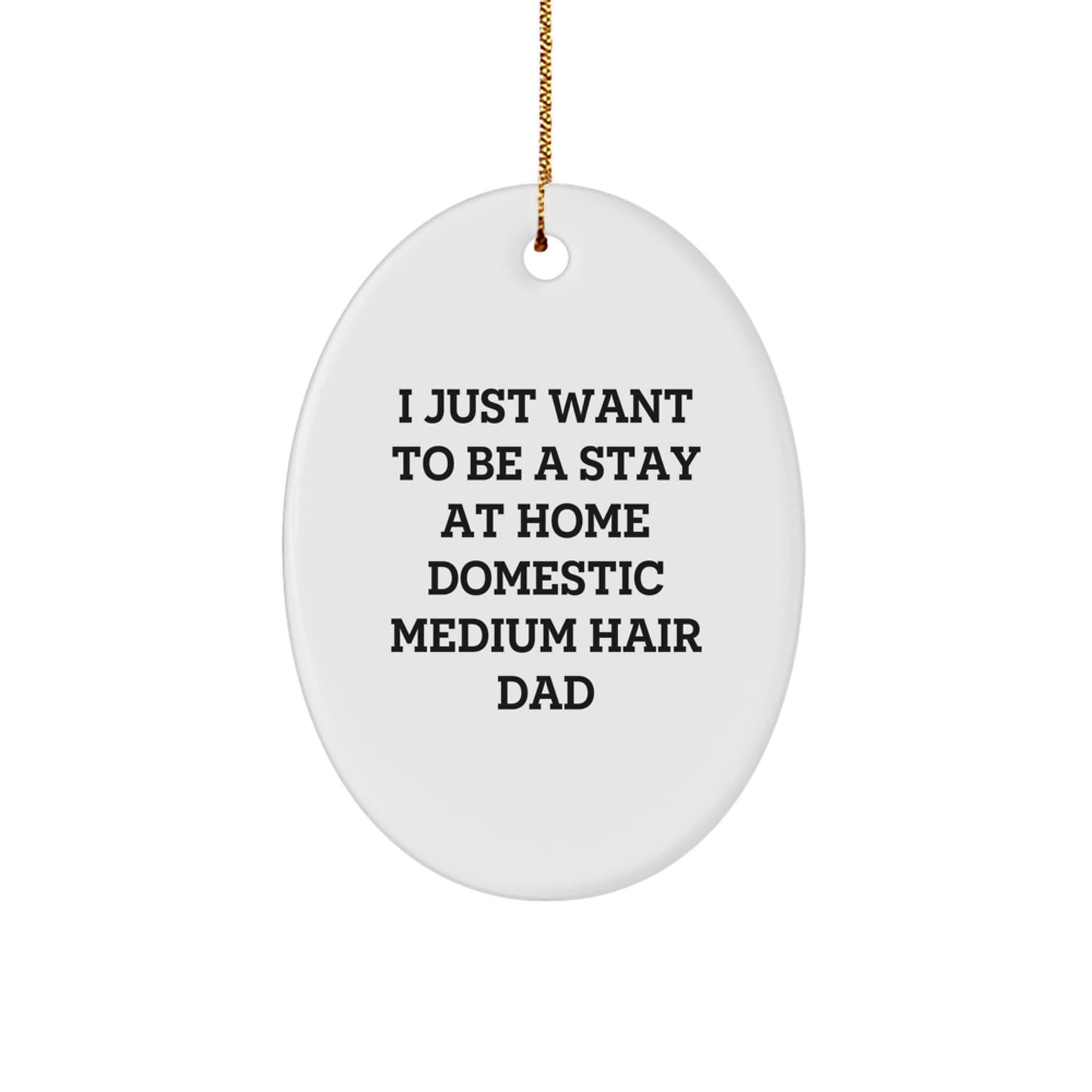 Funny Domestic Medium Hair Gifts for Him - Oval Ornament from Men - I Just Want To Be A Stay At Home Dad - Image 1