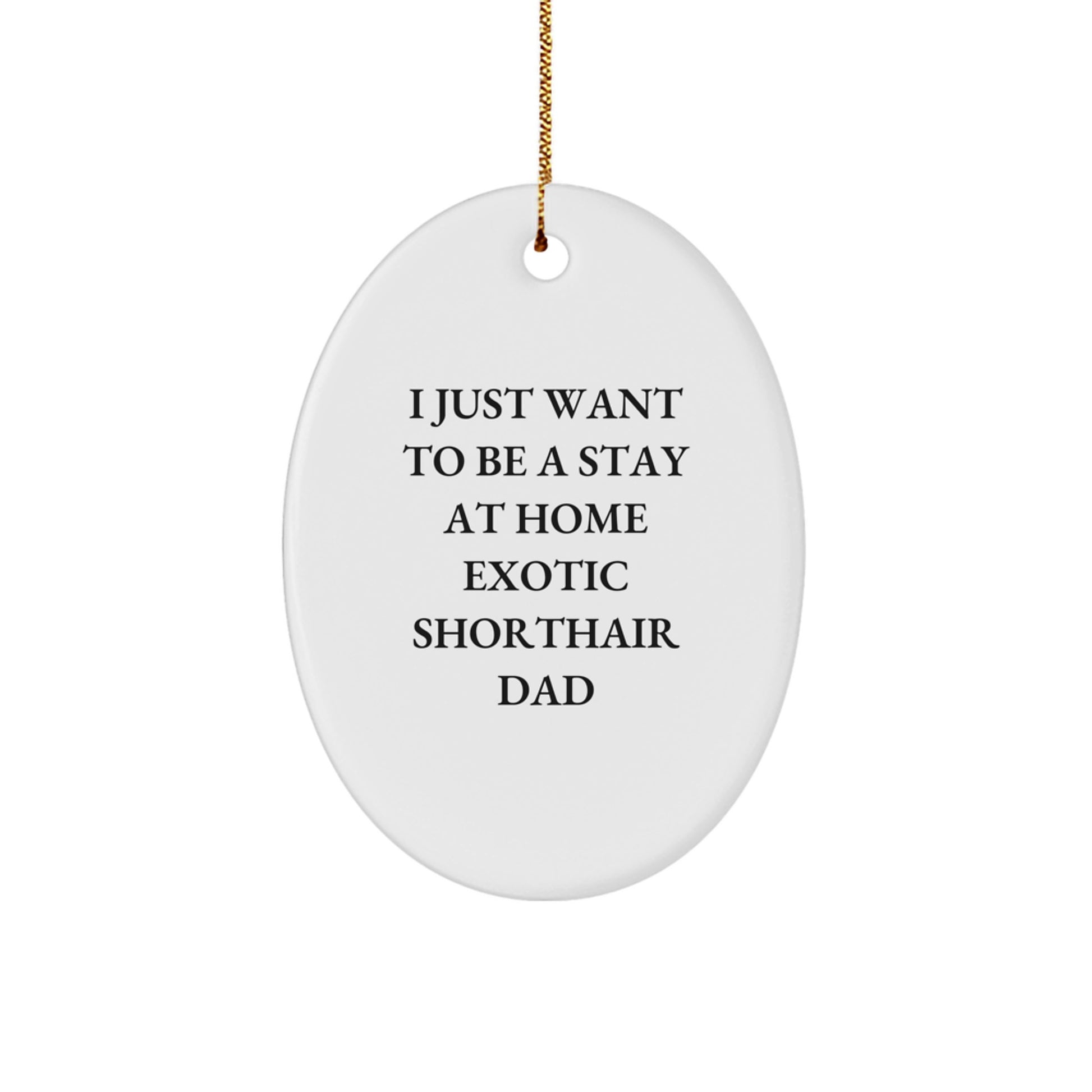 Funny Exotic Shorthair Cat Gifts from Men for Dad Exotic Shorthair Cat Lover Oval Ornament Unique Christmas Decorations - Image 1