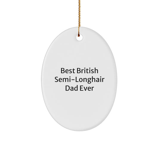 British Semi-Longhair Cat Lover's Oval Ornament, Funny Quote Gifts from Friends, Christmas Unique Gifts - Image 1