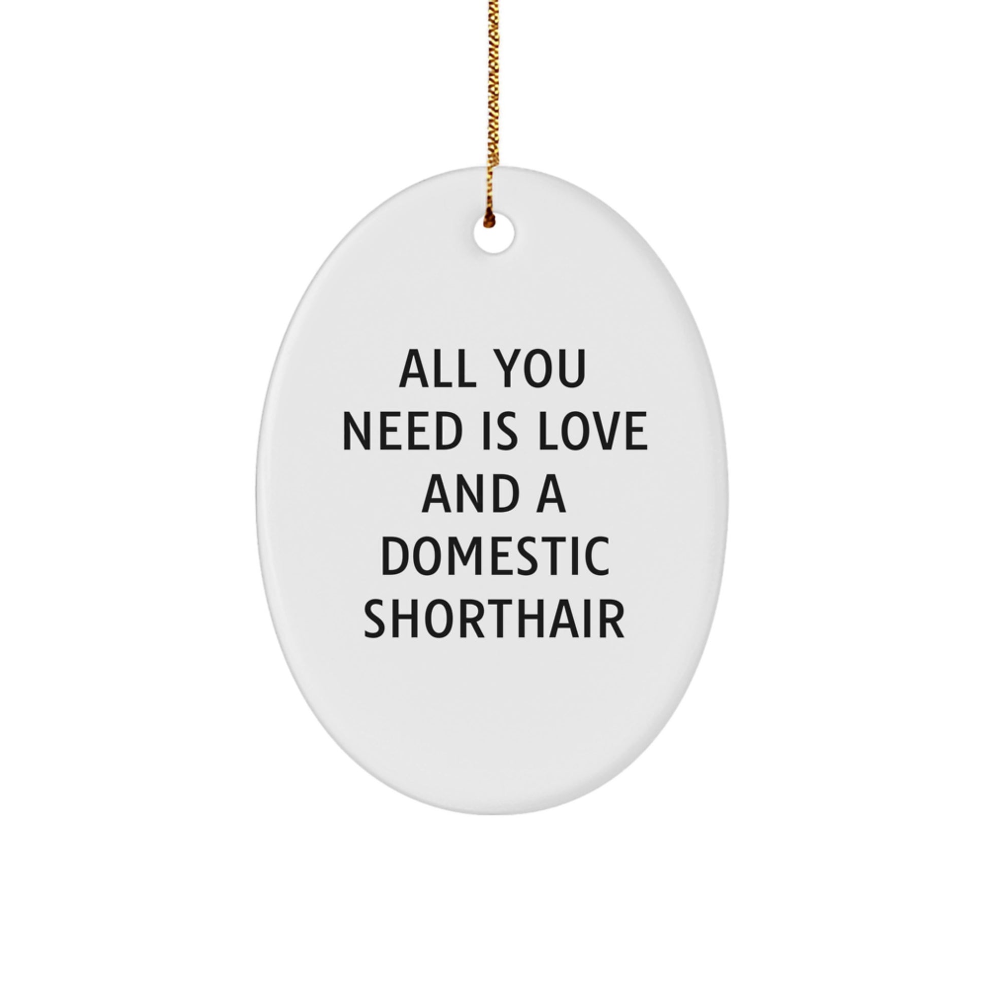 Funny Domestic Shorthair Cat Oval Ornament Gifts from Friends for Domestic Shorthair Cat Owners, Christmas Unique Ornament - Image 1
