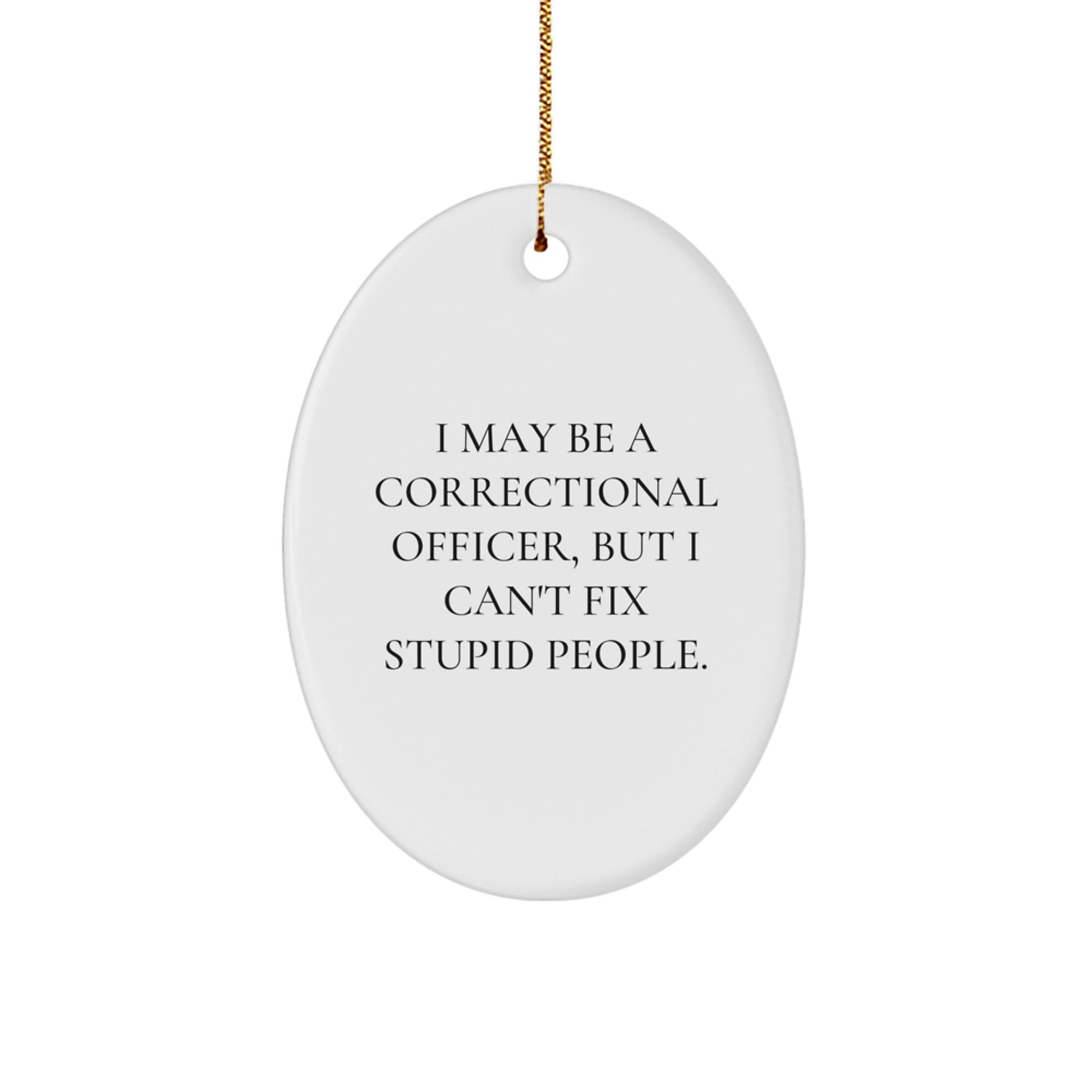 Funny Correctional Officer Oval Ornament Gifts from Family for Men, Women, Coworkers - 'I May Be A Correctional Officer, But I Can't Fix Stupid People.' - Image 1