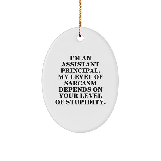 Funny Assistant Principal Gifts for Men, Oval Ornament, Christmas Unique Gifts from Friends, Coworkers, with Sarcastic Quote - Image 1