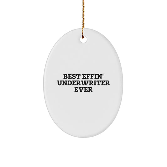 Funny Gifts from Friends for Underwriter Oval Ornament Best Effin' Underwriter Ever Christmas Unique - Image 1