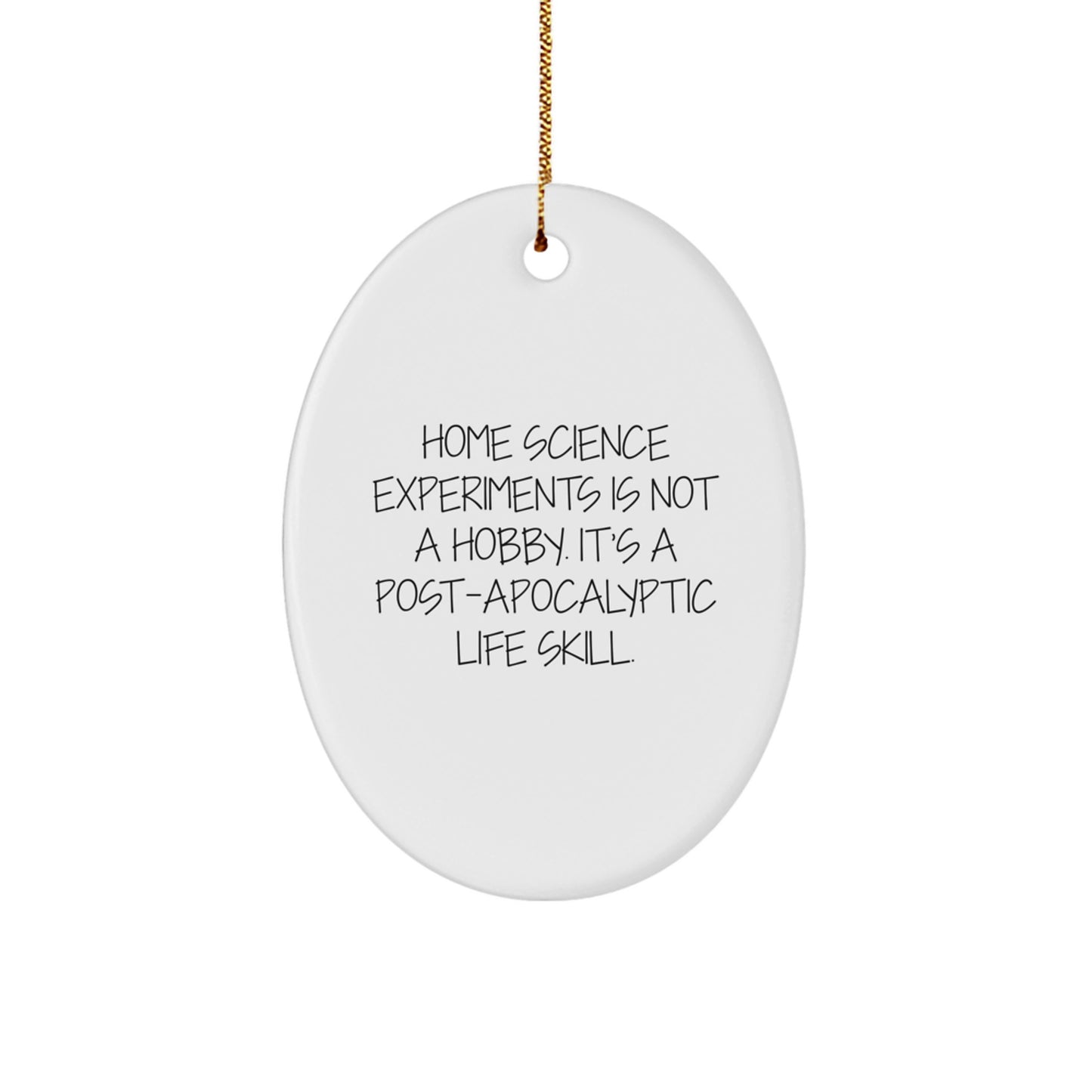 Home Science Experiments Gifts for Men - Funny Oval Ornament, 'Home Science Experiments Is Not A Hobby' MDF Decor, Christmas Unique Gifts from Men to Family - Image 1
