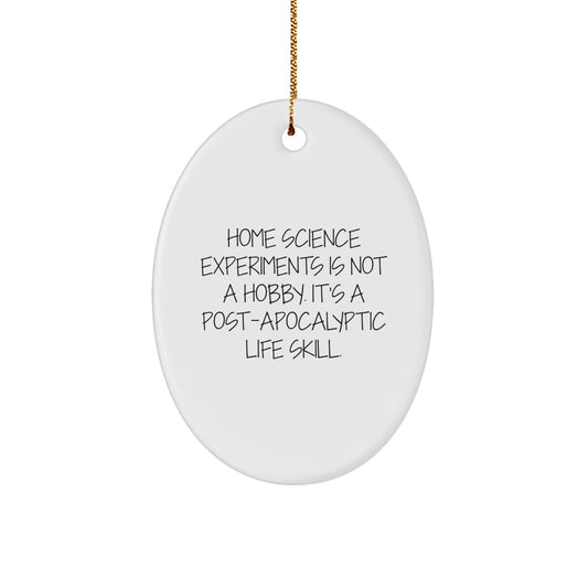 Home Science Experiments Gifts for Men - Funny Oval Ornament, 'Home Science Experiments Is Not A Hobby' MDF Decor, Christmas Unique Gifts from Men to Family - Image 1
